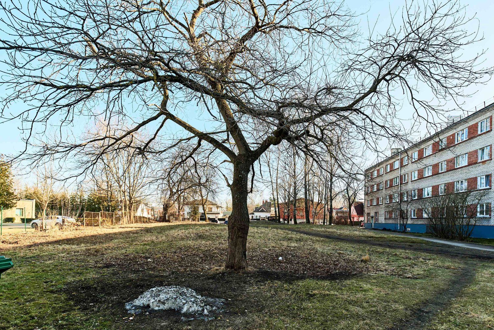 Zemes gabals 1872 m², Zalves iela 38, Rīga — attēls 5