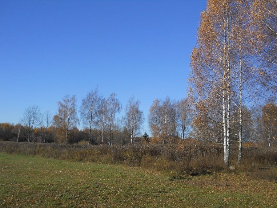 Zemes gabals 2 ha, Kokneses pagasts — attēls 4