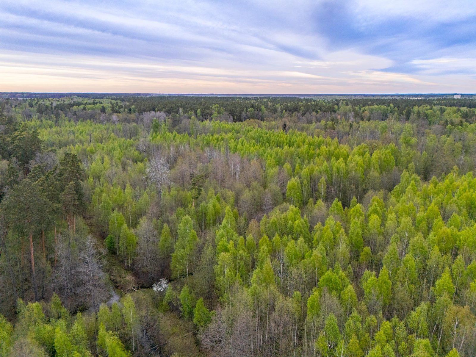 Zemes gabals 5,9 ha, Stapriņi