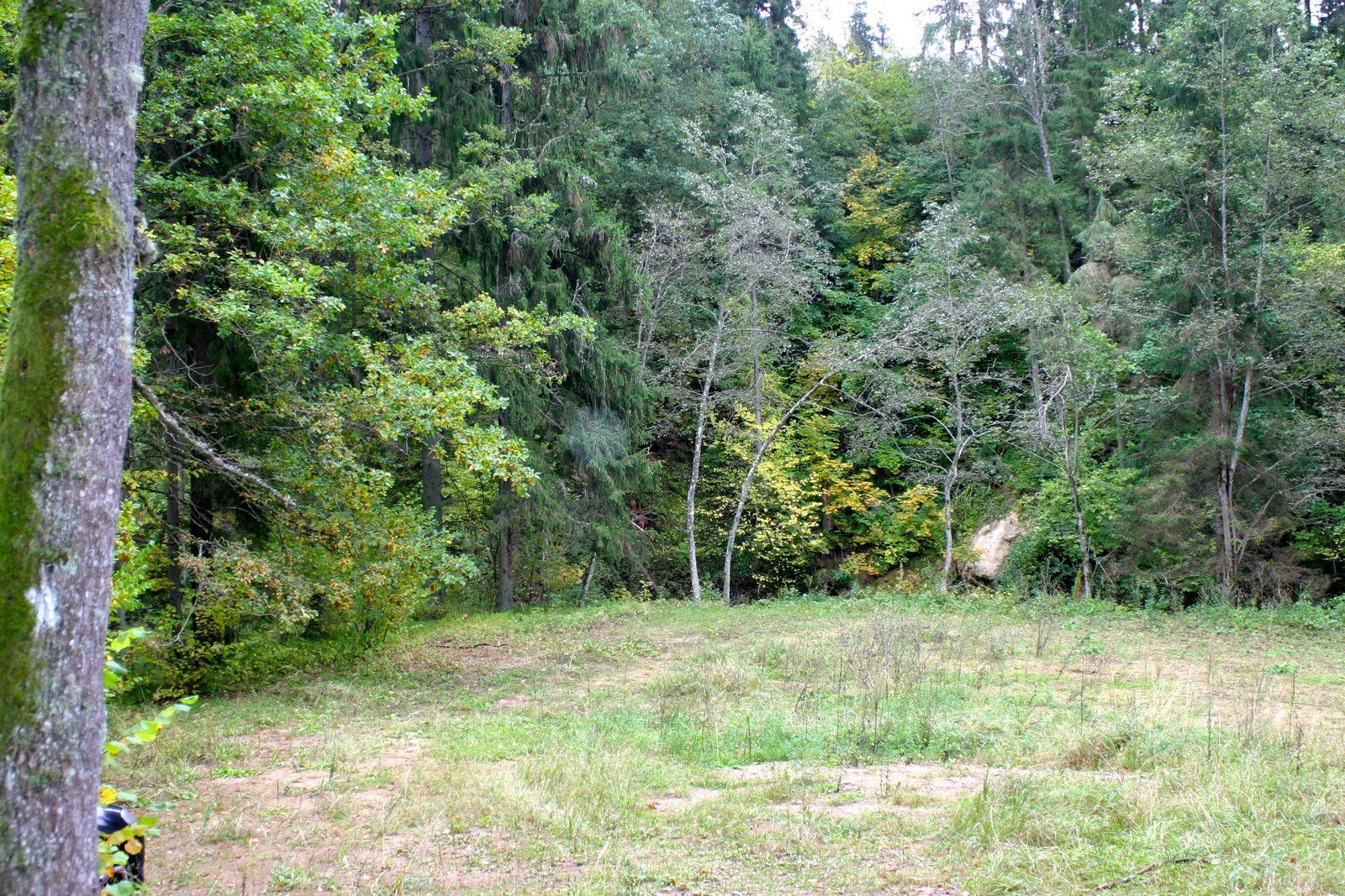 Zemes gabals 1,1 ha, Liepu iela, Sējas pagasts — attēls 2