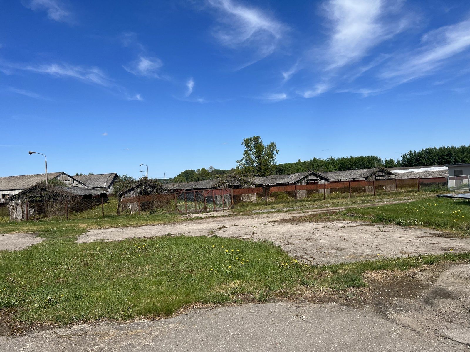Ražošanas ēka 6401 m², Lapsas, Lielvārdes pagasts — attēls 4