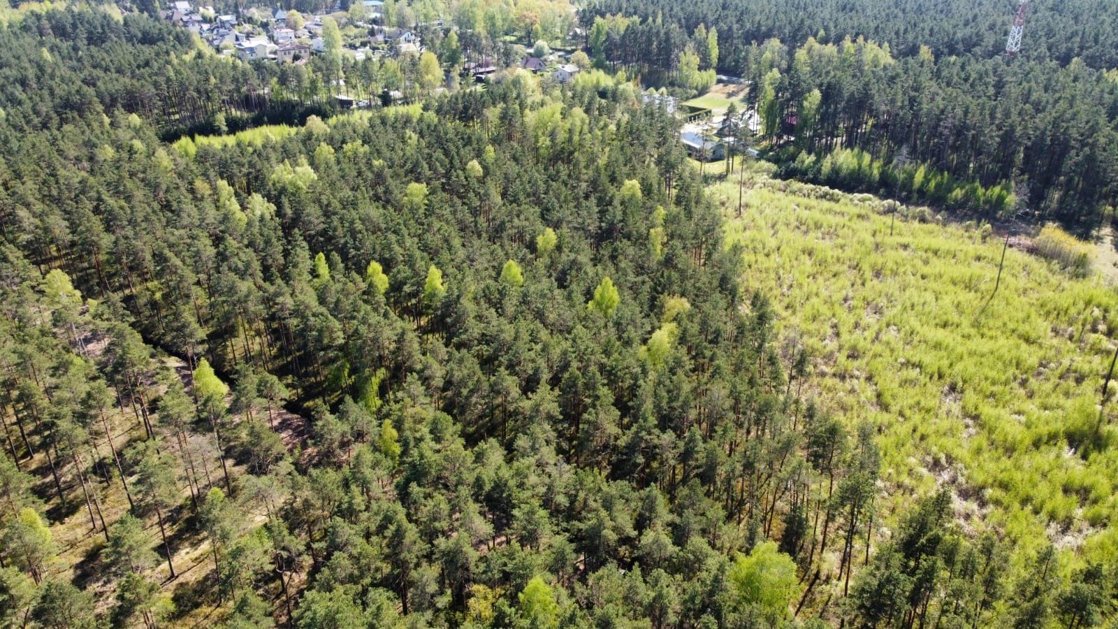 Zemes gabals 6031 m², Mazā Lapu iela 6, Garkalnes pagasts — attēls 5