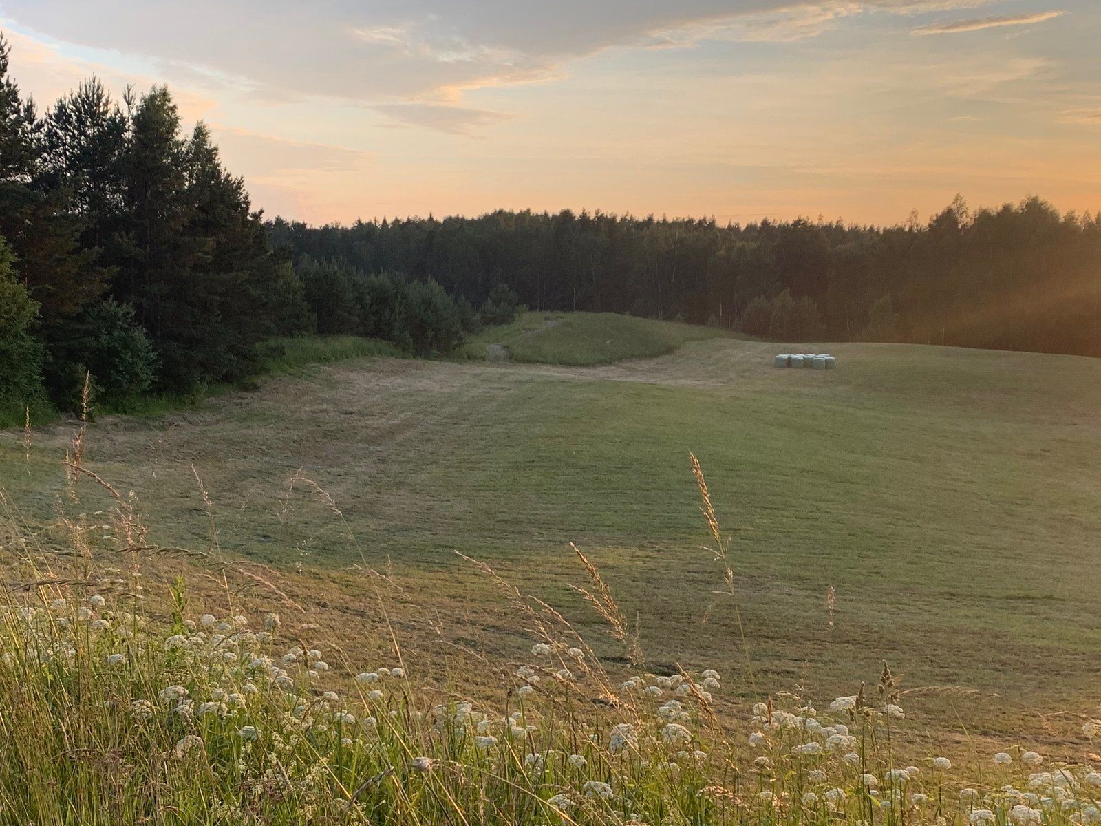 Zemes gabals 42,57 ha, Birzgales pagasts — attēls 2