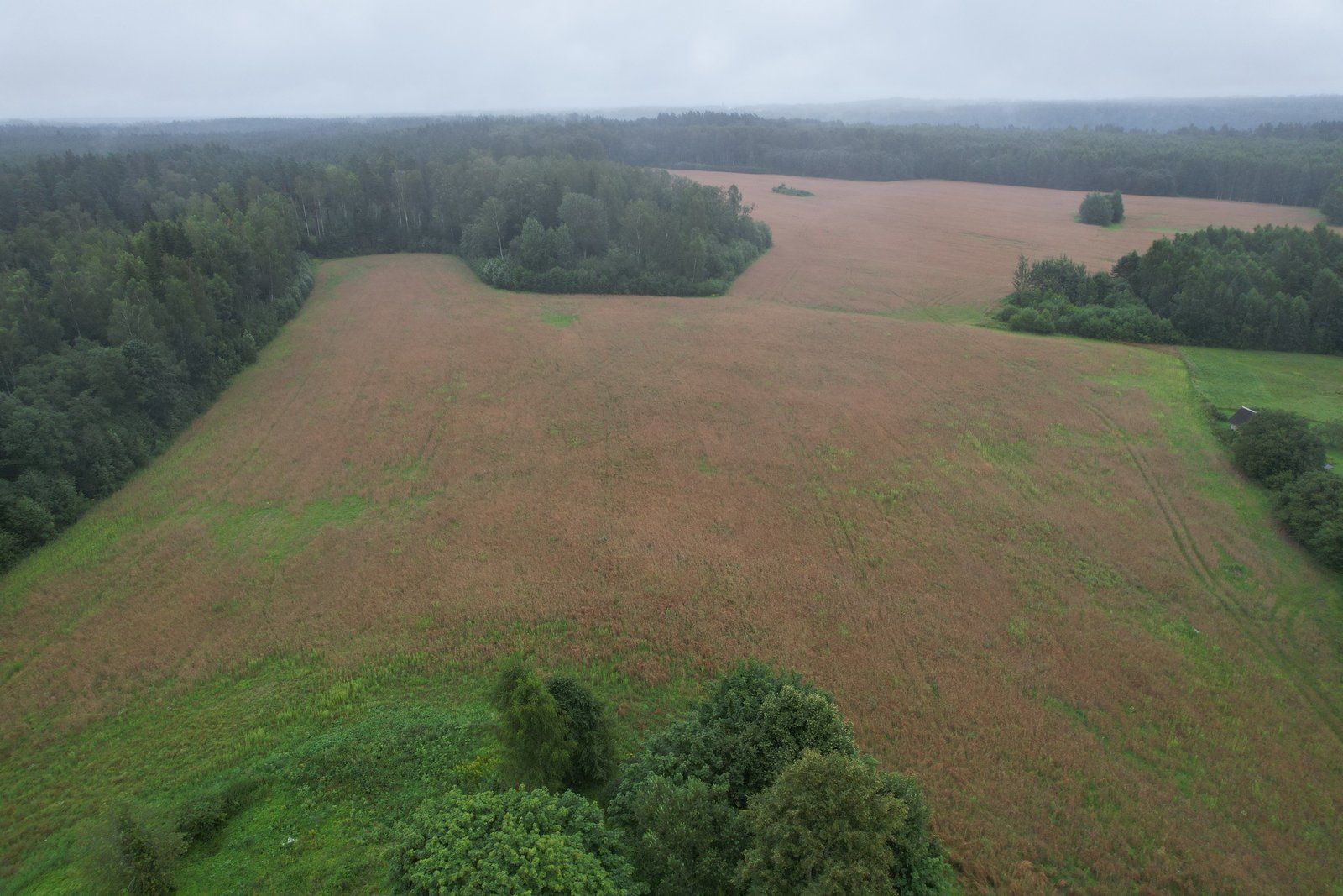 Zemes gabals 18,7 ha, Raiskuma pagasts — attēls 3