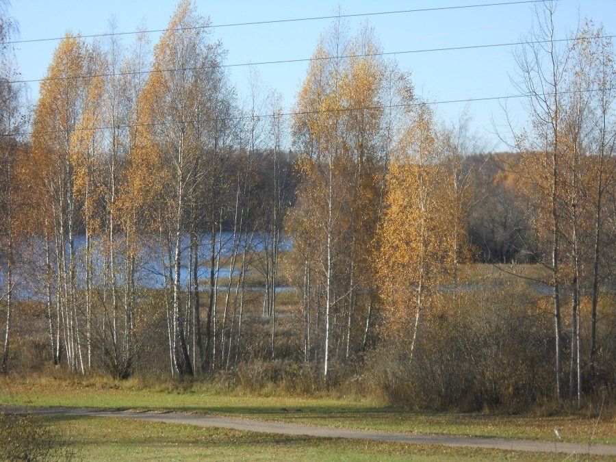 Zemes gabals 1,83 ha, Kokneses pagasts