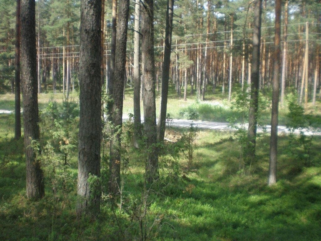 Zemes gabals 23,44 ha, Vārnukroga ceļš, Jūrmala — attēls 5