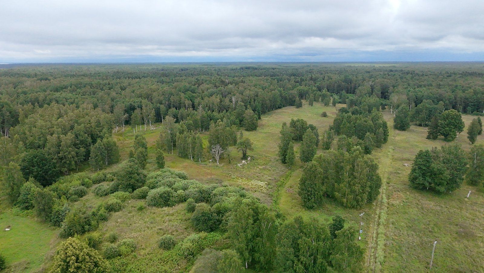Zemes gabals 10,6 ha, Liepupes pagasts — attēls 2