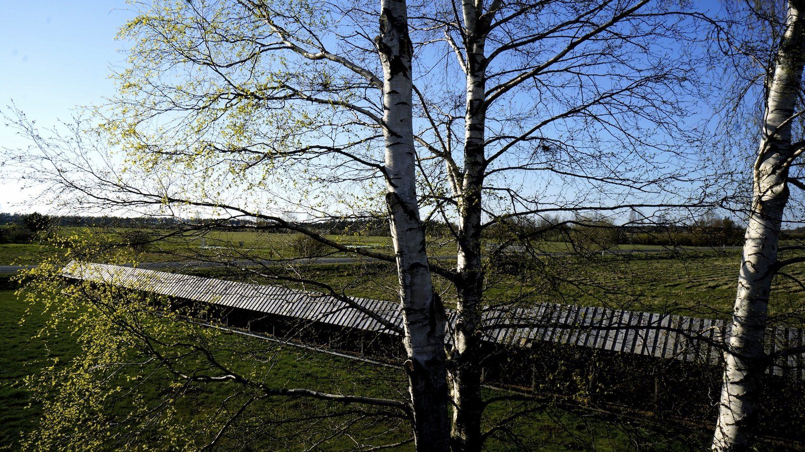 Viesnīca 652 m², Jaunarāji, Jūrkalnes pagasts — attēls 4