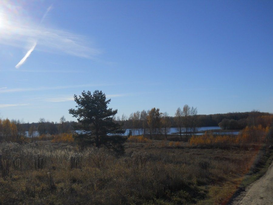 Zemes gabals 1,83 ha, Kokneses pagasts — attēls 3