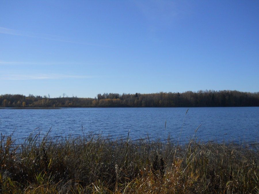 Zemes gabals 9300 m², Kokneses pagasts — attēls 3