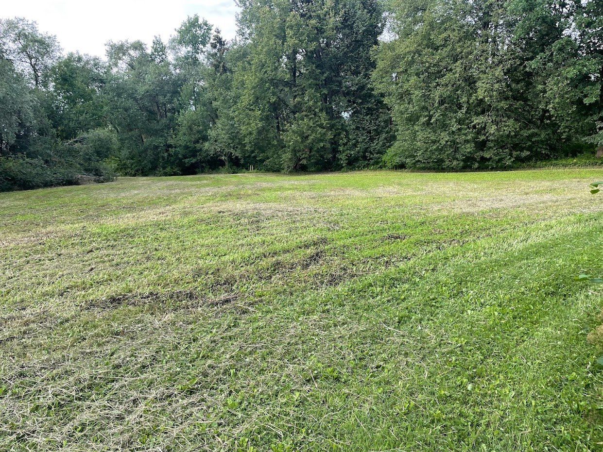 Zemes gabals 7929 m², Limbaži — attēls 4