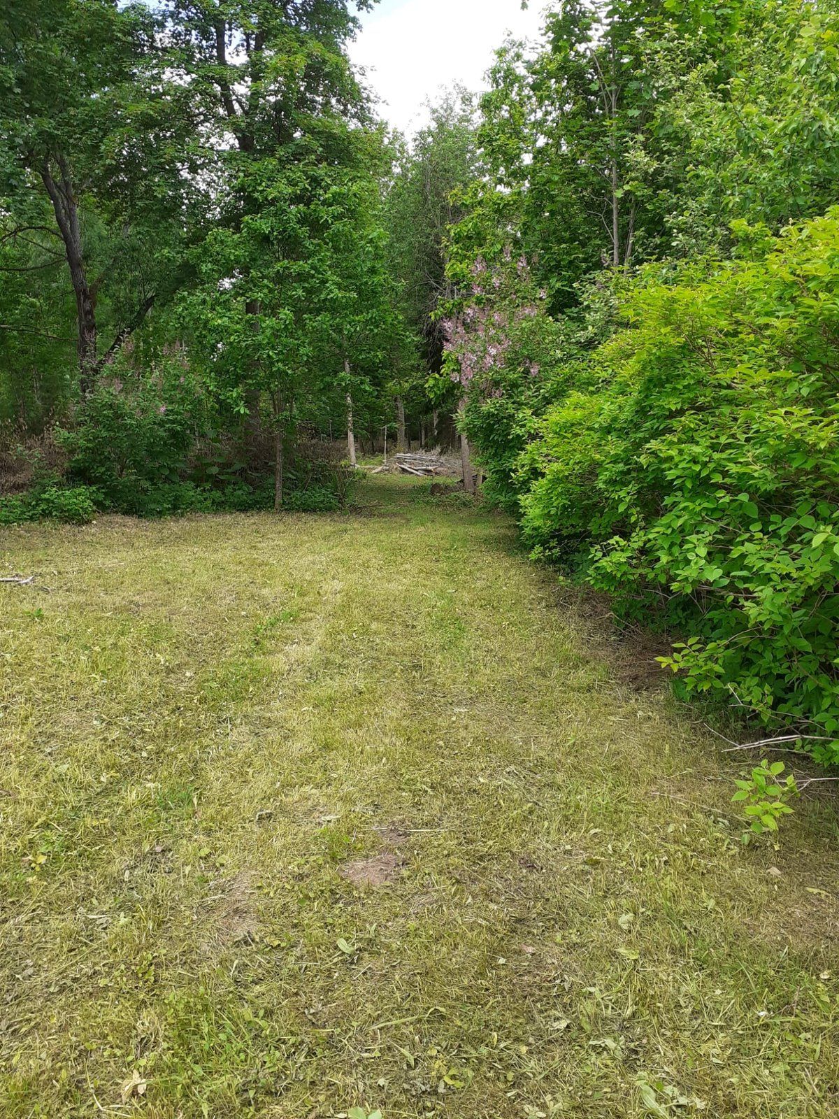 Zemes gabals 3600 m², Dižolgāres, Smārdes pagasts