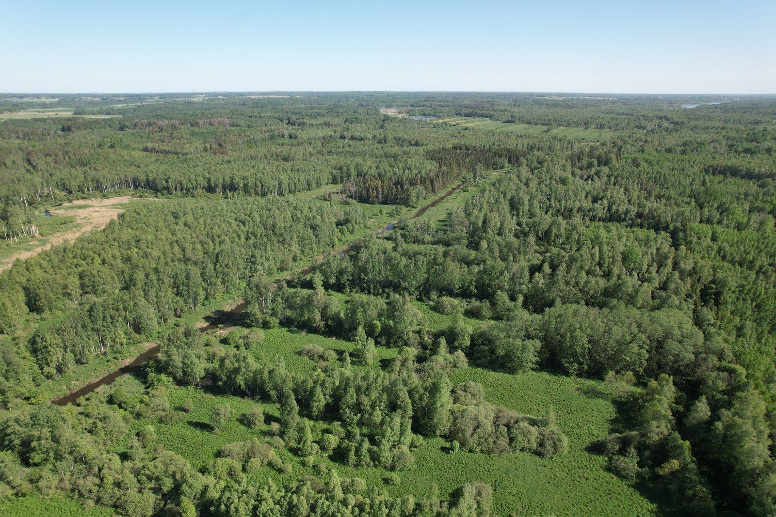Zemes gabals 12,8 ha, Viļķenes pagasts — attēls 3
