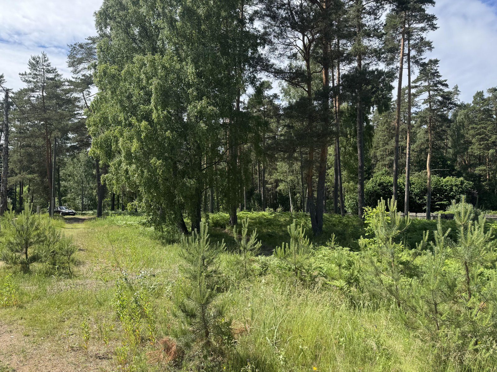 Zemes gabals 5512 m², Ādažu iela, Garkalnes pagasts — attēls 3