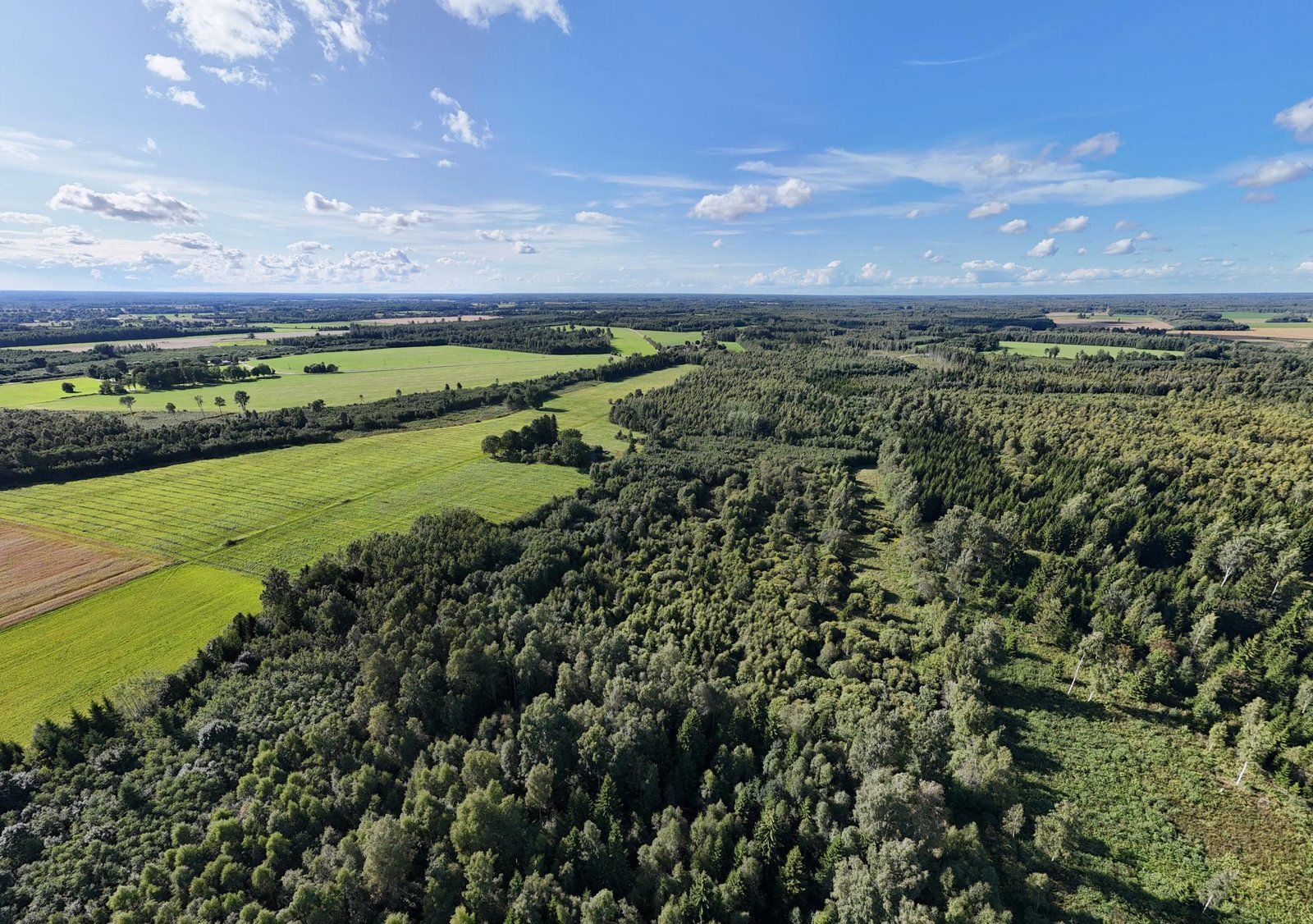 Zemes gabals 40,7 ha, Ķoņu pagasts — attēls 3