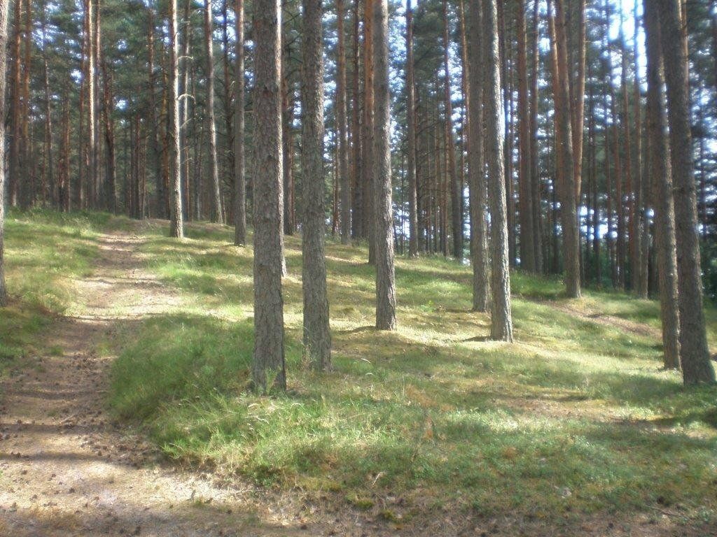 Zemes gabals 23,44 ha, Vārnukroga ceļš, Jūrmala — attēls 4