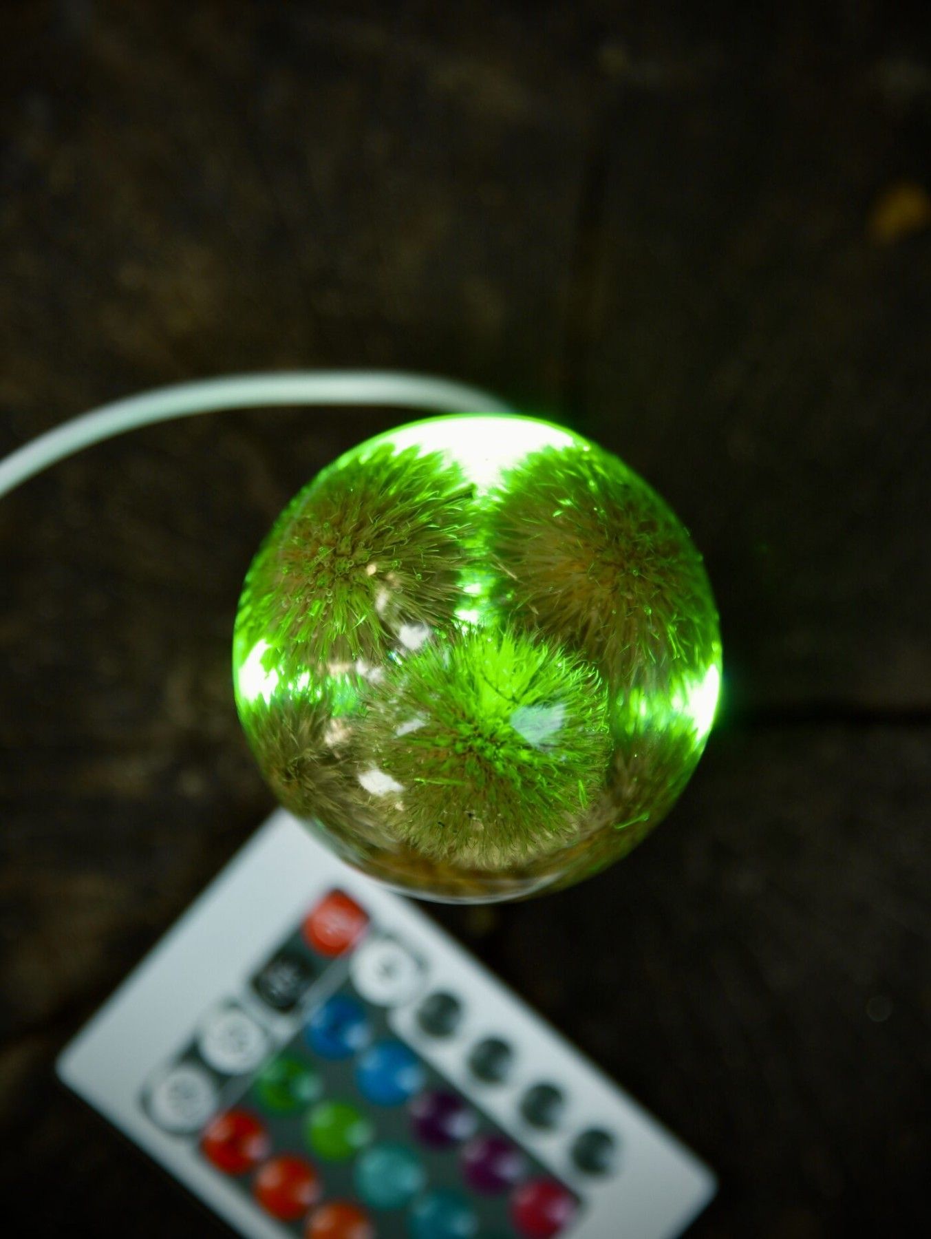 Galda lampa SpiiidBotanics, rgb, violetā krāsā — attēls 5