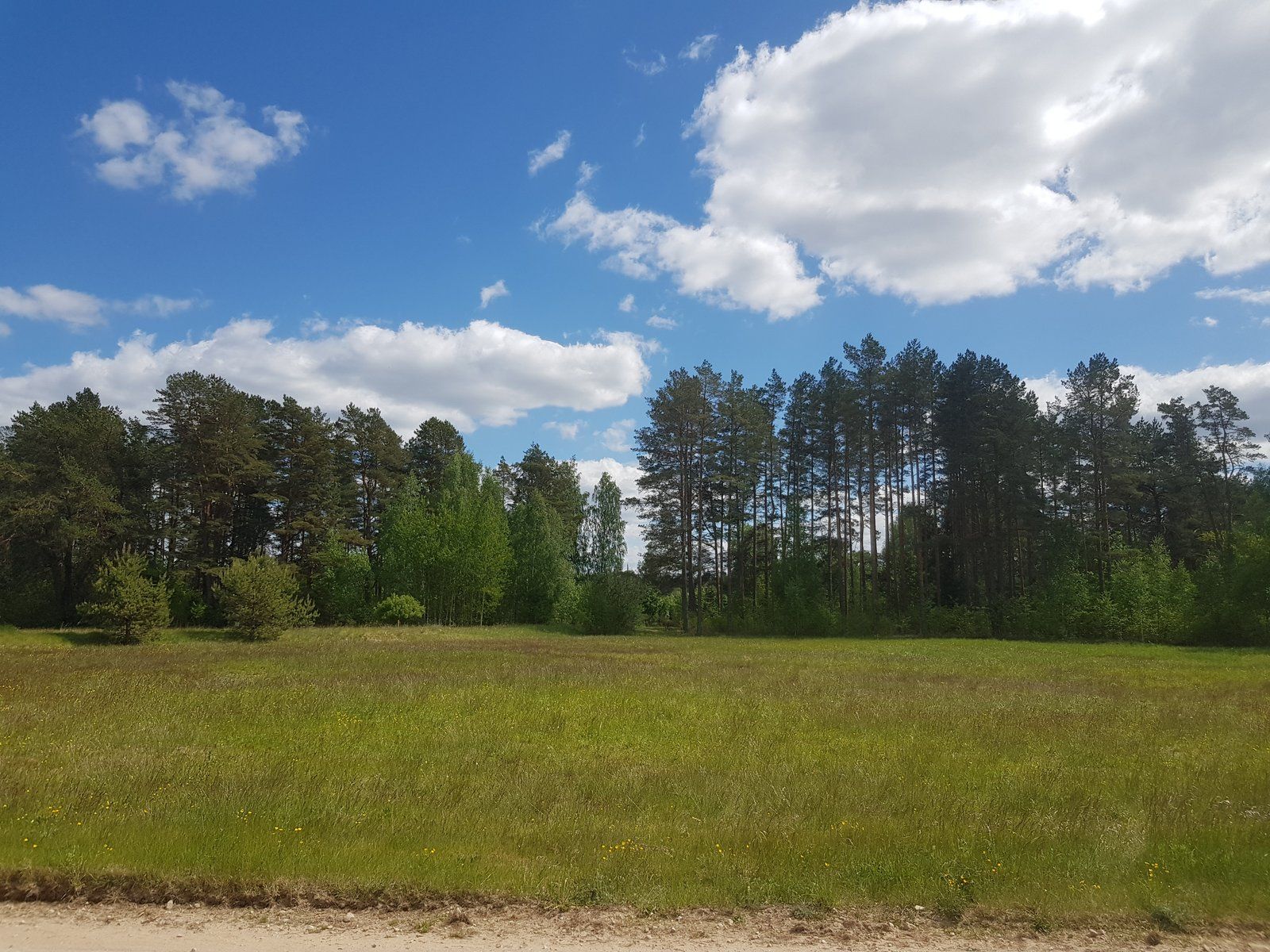 Zemes gabals 3,6 ha, Boķu iela 2, Ādažu pagasts — attēls 4