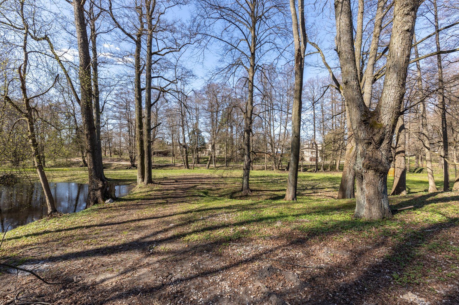 Zemes gabals 3550 m², Codes iela 58, Rīga — attēls 5