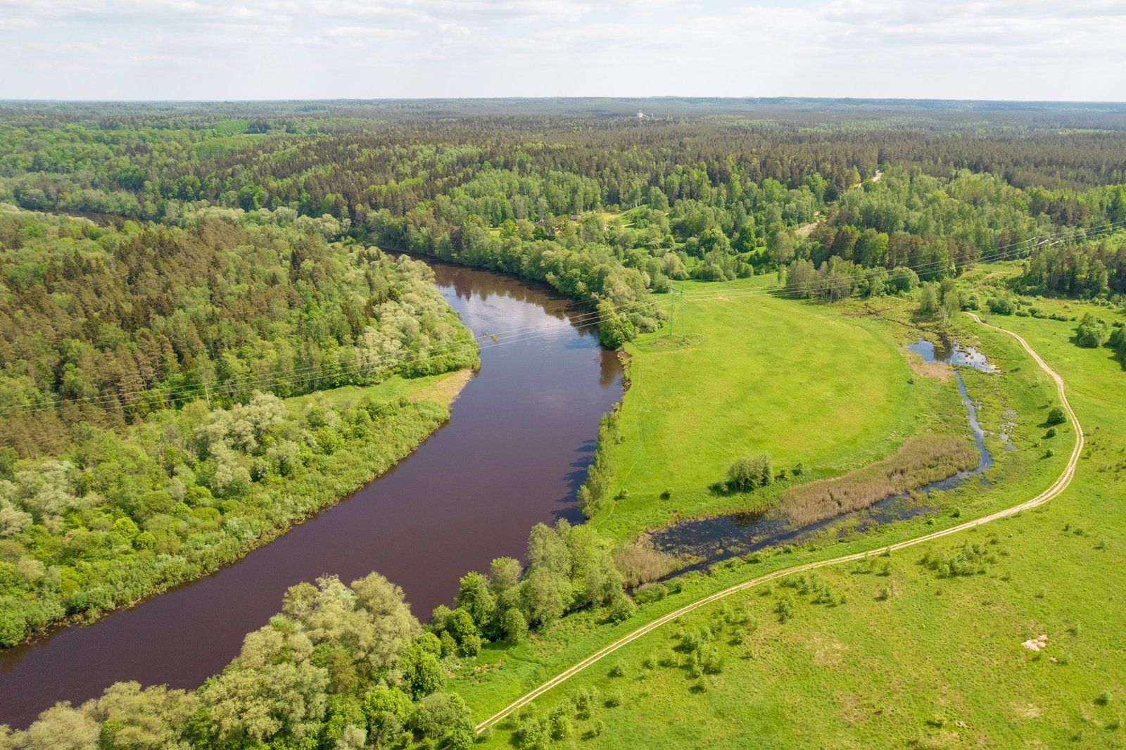 Zemes gabals 10 ha, Viesulēni, Inčukalna pagasts — attēls 3