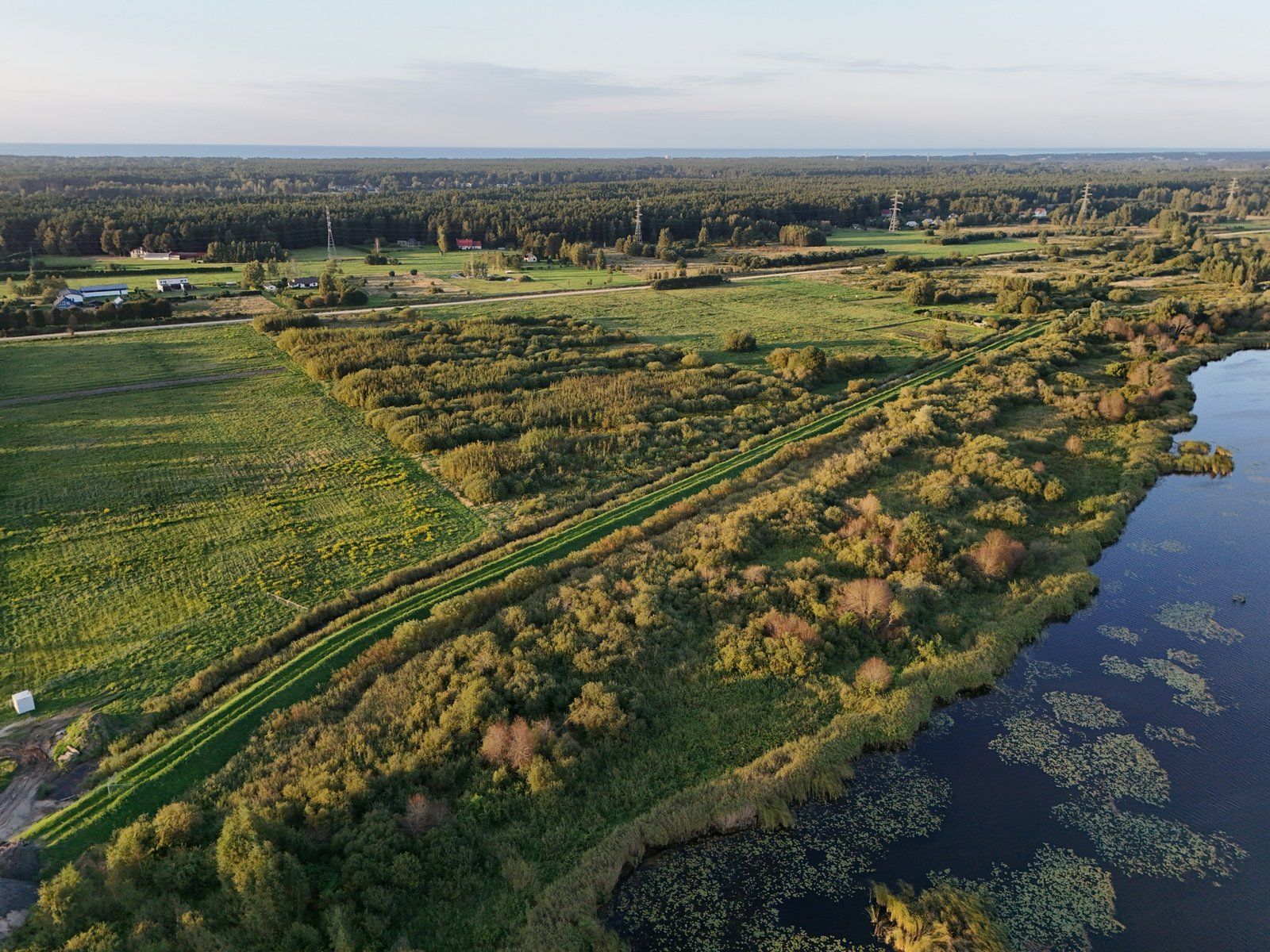 Zemes gabals 4,6 ha, Salas pagasts — attēls 3