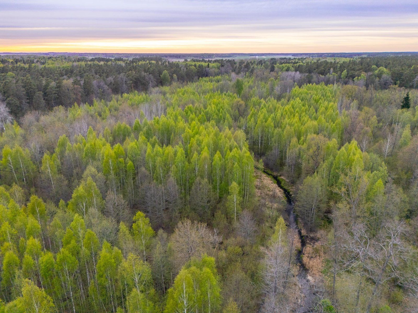 Zemes gabals 5,9 ha, Stapriņi — attēls 3