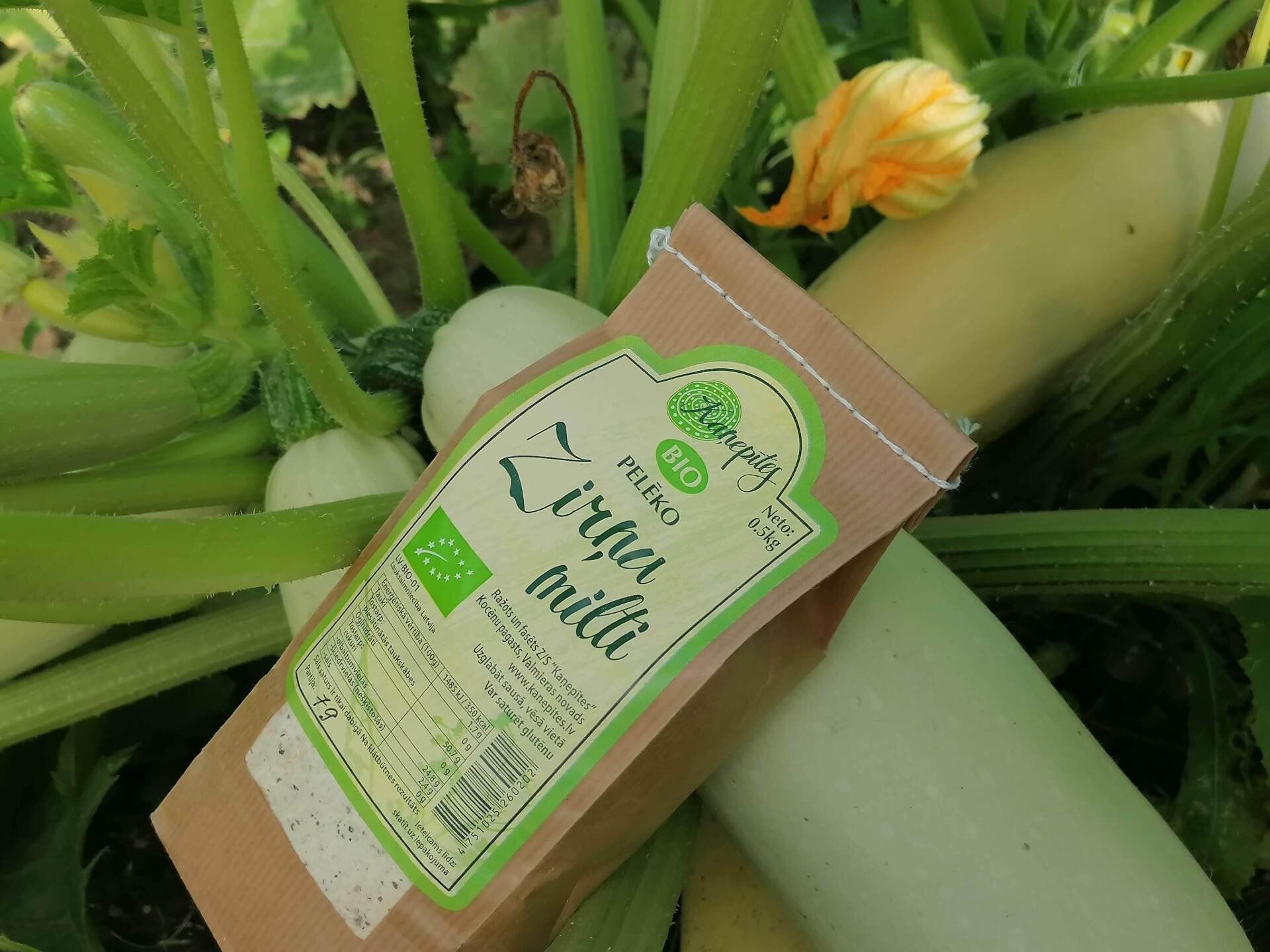 Pelēko zirņu milti, BIO, 0,5 kg — attēls 2