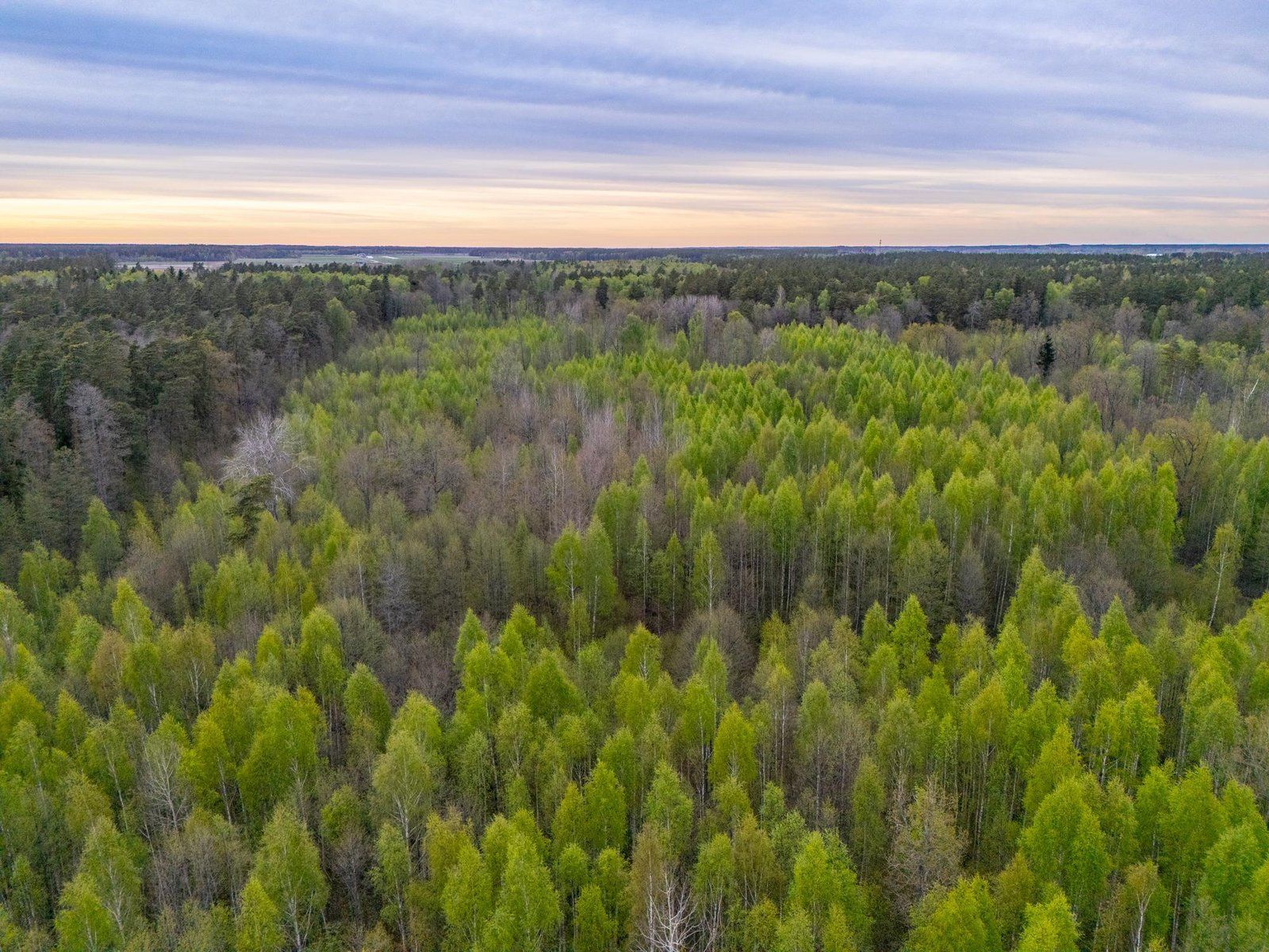 Zemes gabals 5,9 ha, Stapriņi — attēls 2