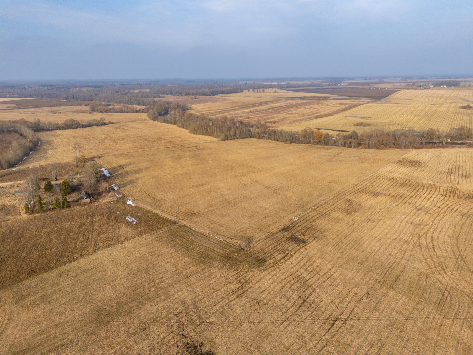 Zemes gabals 10,1 ha, Skaņkalnes pagasts — attēls 2