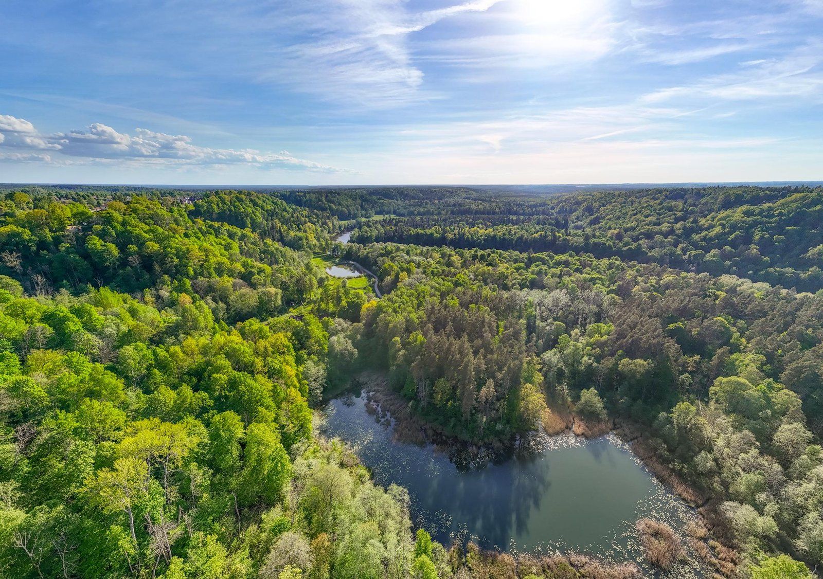 Zemes gabals 1,15 ha, Sigulda — attēls 4