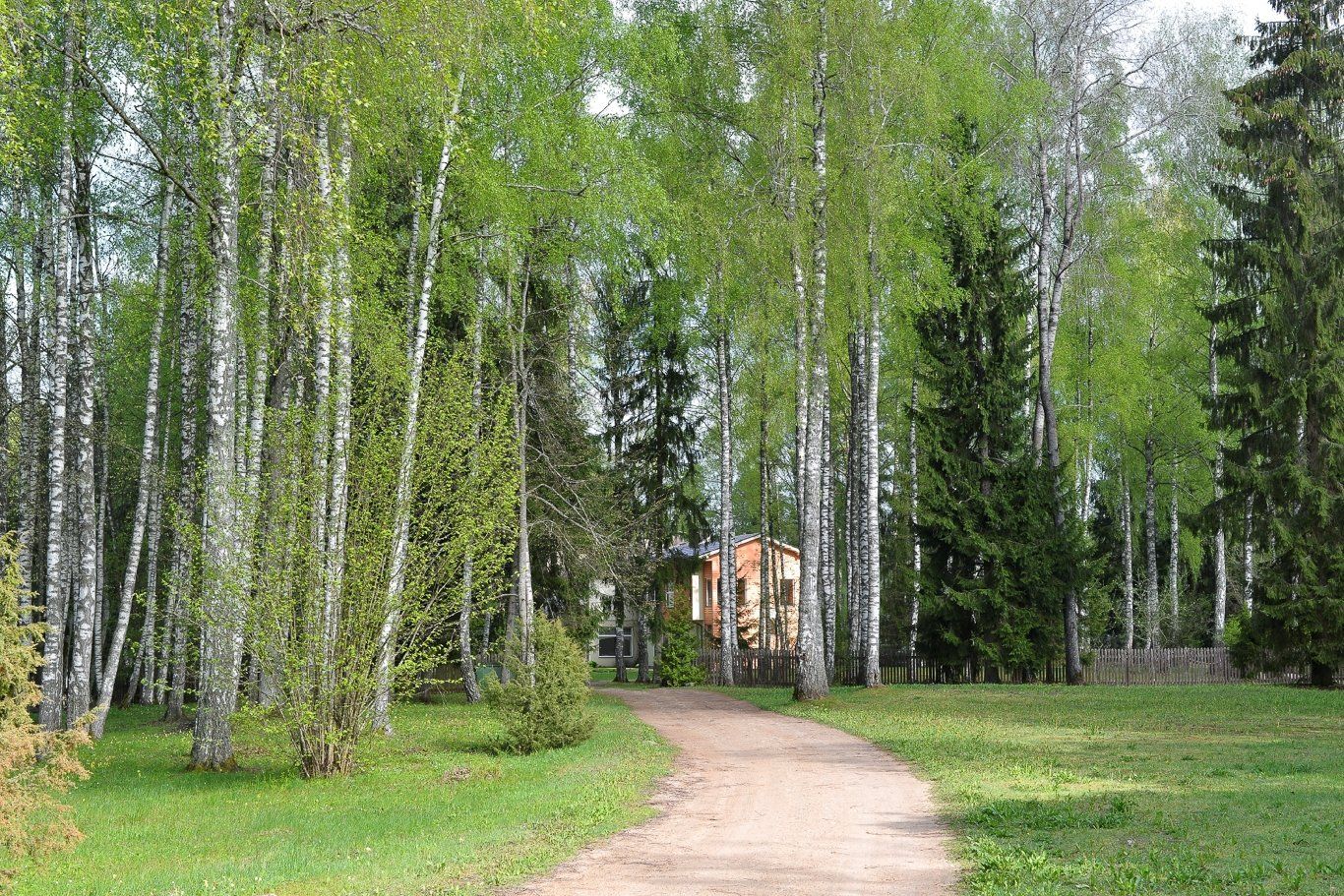 Viesnīca 832 m², Rēzijas, Tomes pagasts — attēls 5