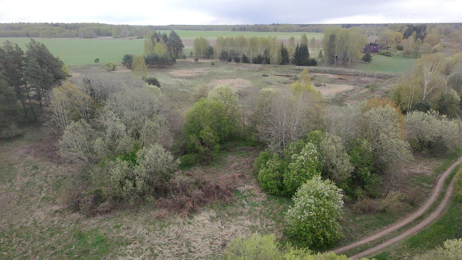 Zemes gabals 1,56 ha, Salas pagasts — attēls 5
