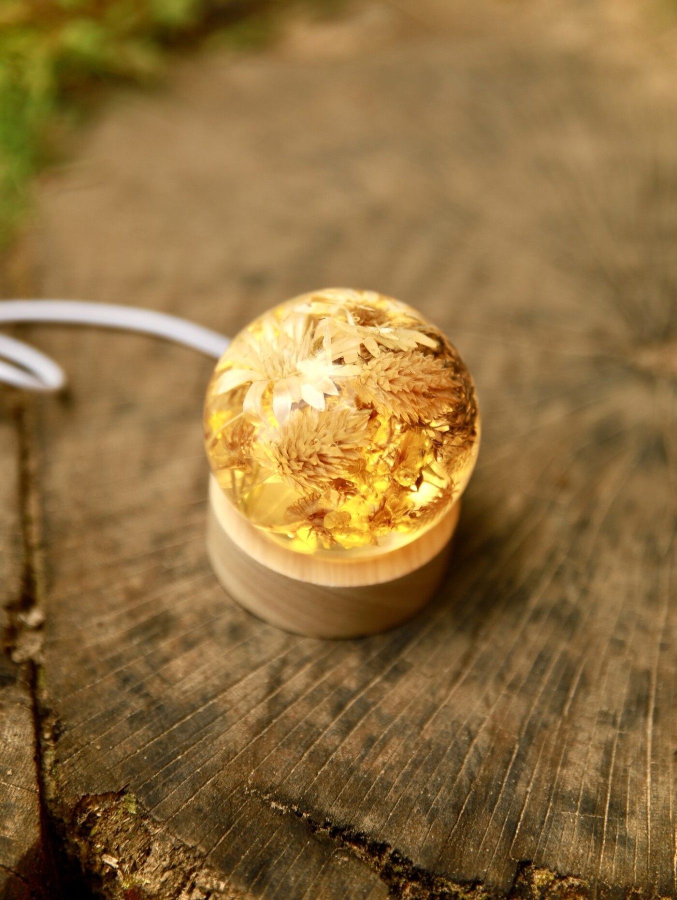 Galda lampa SpiiidBotanics, silti balta, baltā krāsā — attēls 3