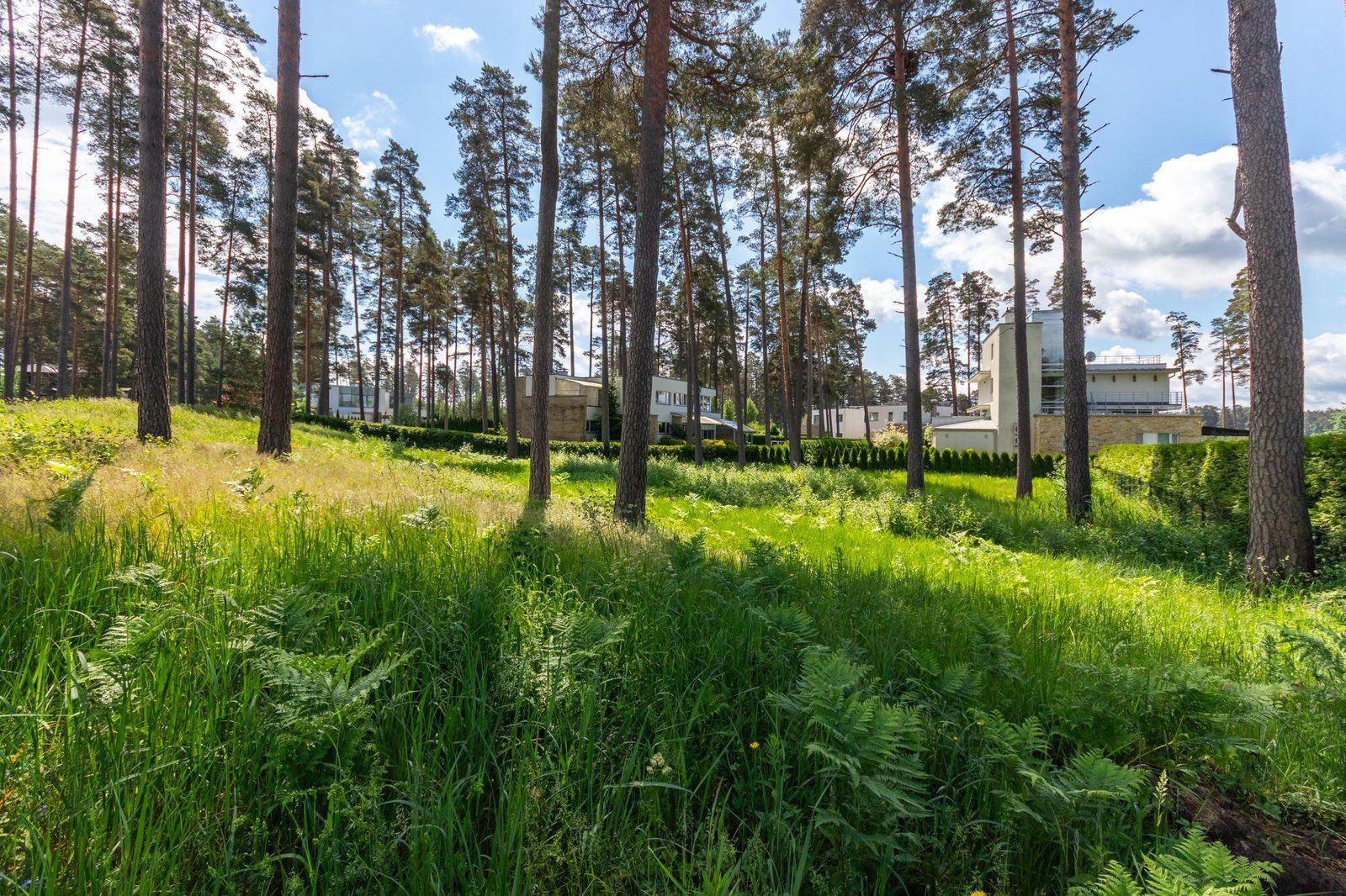 Zemes gabals 2630 m², Ezera iela 21, Babītes pagasts — attēls 4