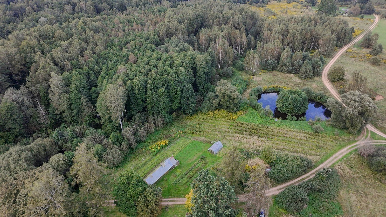 Zemes gabals 2,5 ha, Baldones pagasts — attēls 2
