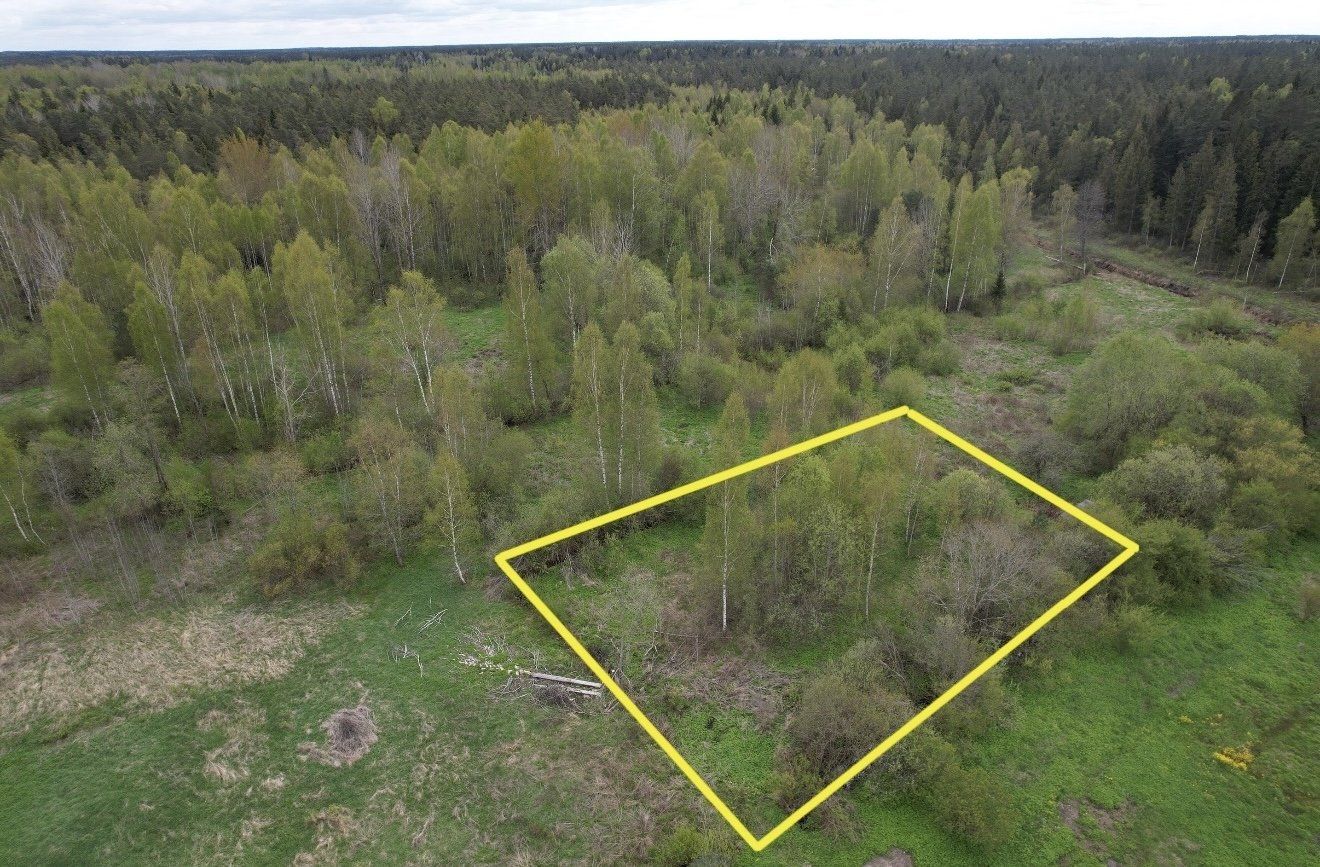 Zemes gabals 2400 m², Ķekavas pagasts — attēls 4