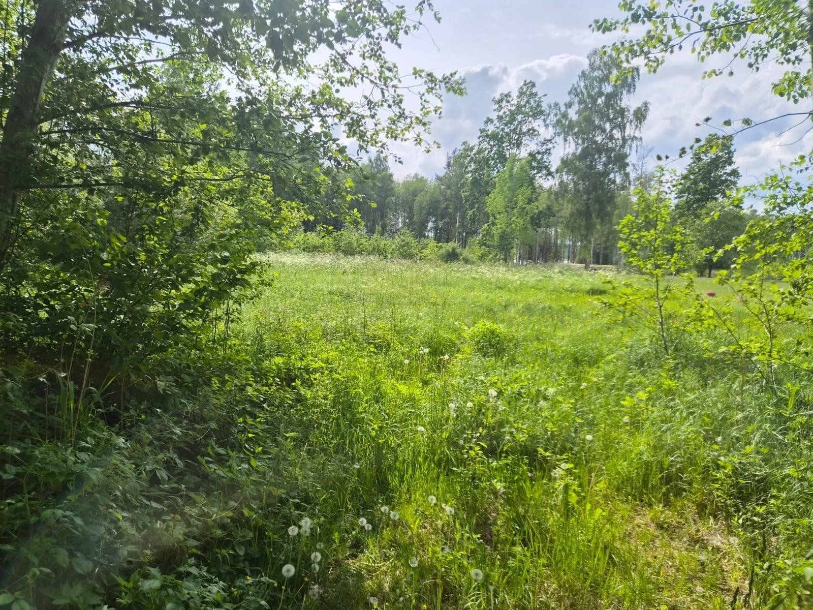 Zemes gabals 1,79 ha, Ārlavas pagasts — attēls 3