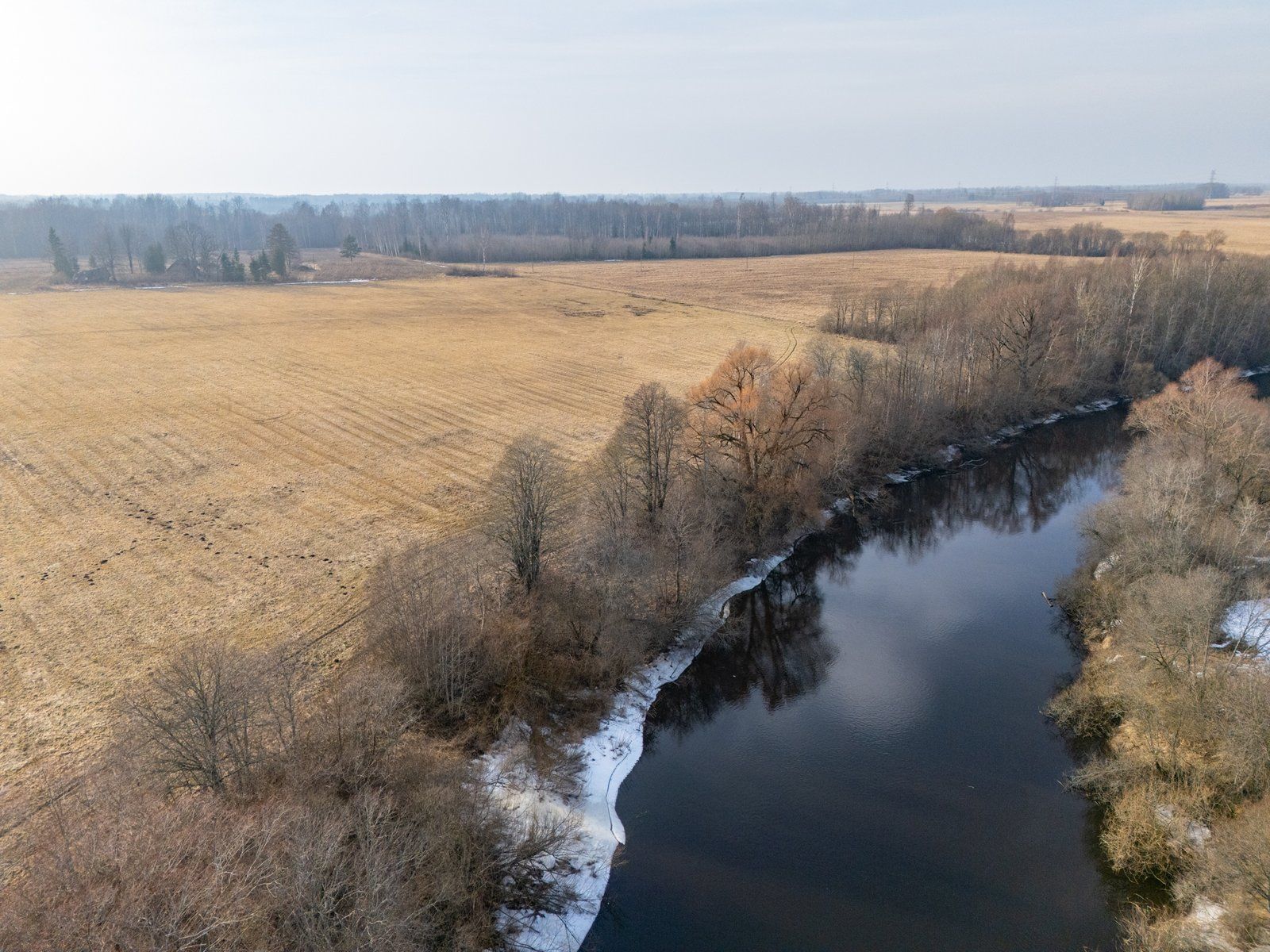 Zemes gabals 10,1 ha, Skaņkalnes pagasts — attēls 5