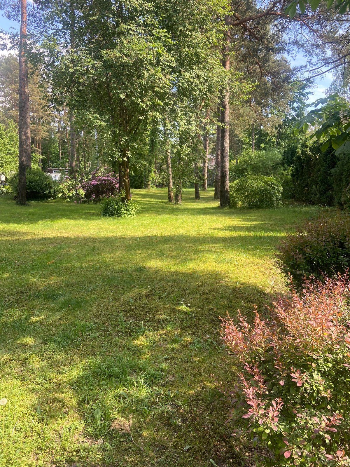 Zemes gabals 1200 m², Kāpu prospekts 22, Rīga — attēls 4