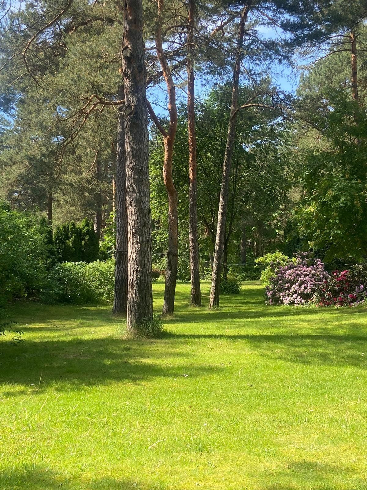 Zemes gabals 1200 m², Kāpu prospekts 22, Rīga — attēls 5