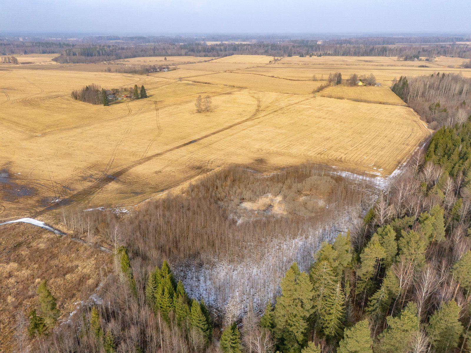 Zemes gabals 6 ha, Pāles pagasts — attēls 3