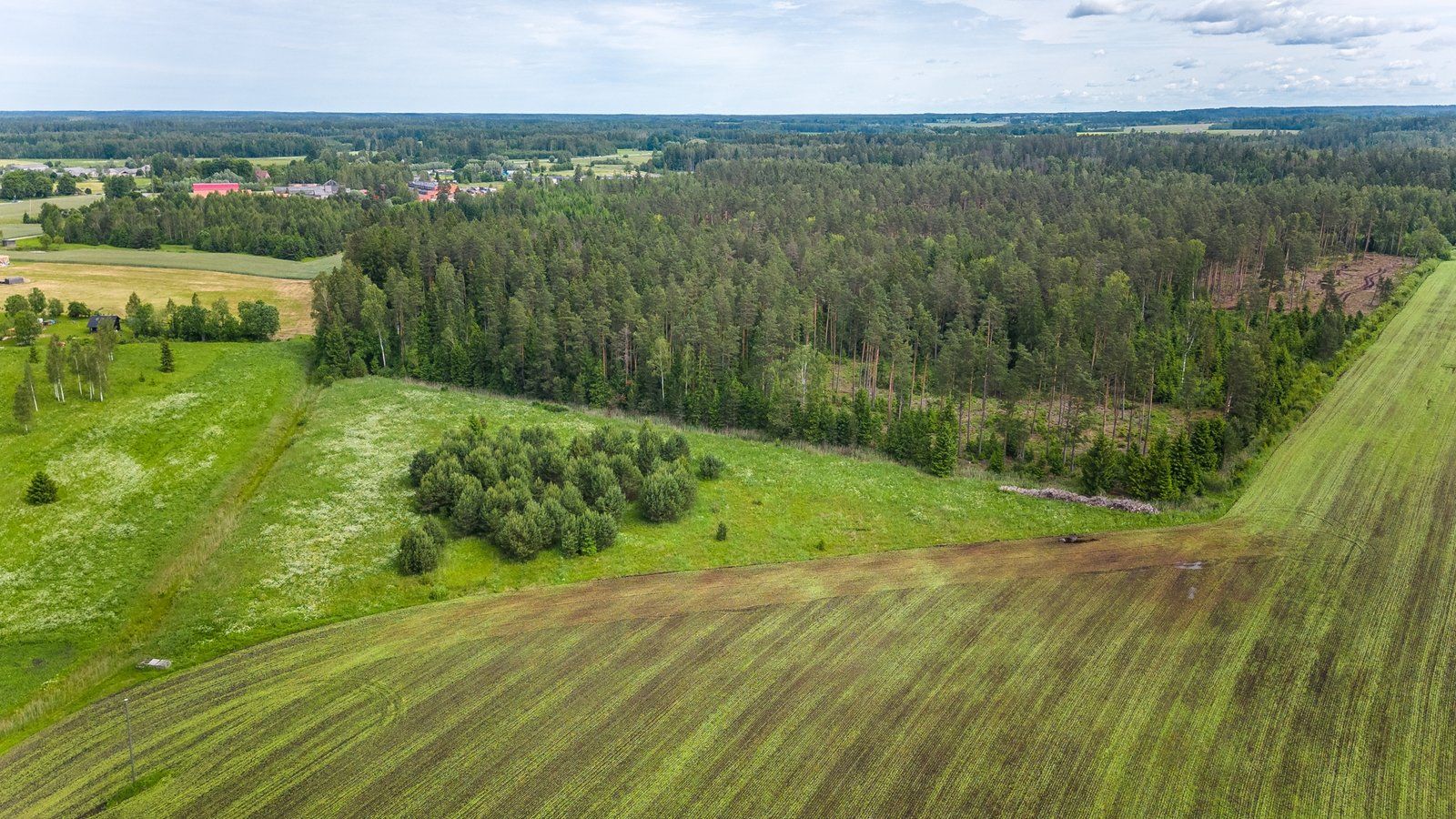 Zemes gabals 7,2 ha, Ragana — attēls 4