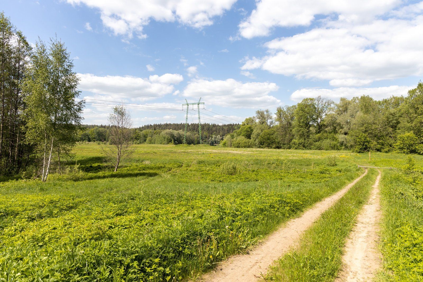 Zemes gabals 10 ha, Viesulēni, Inčukalna pagasts — attēls 5