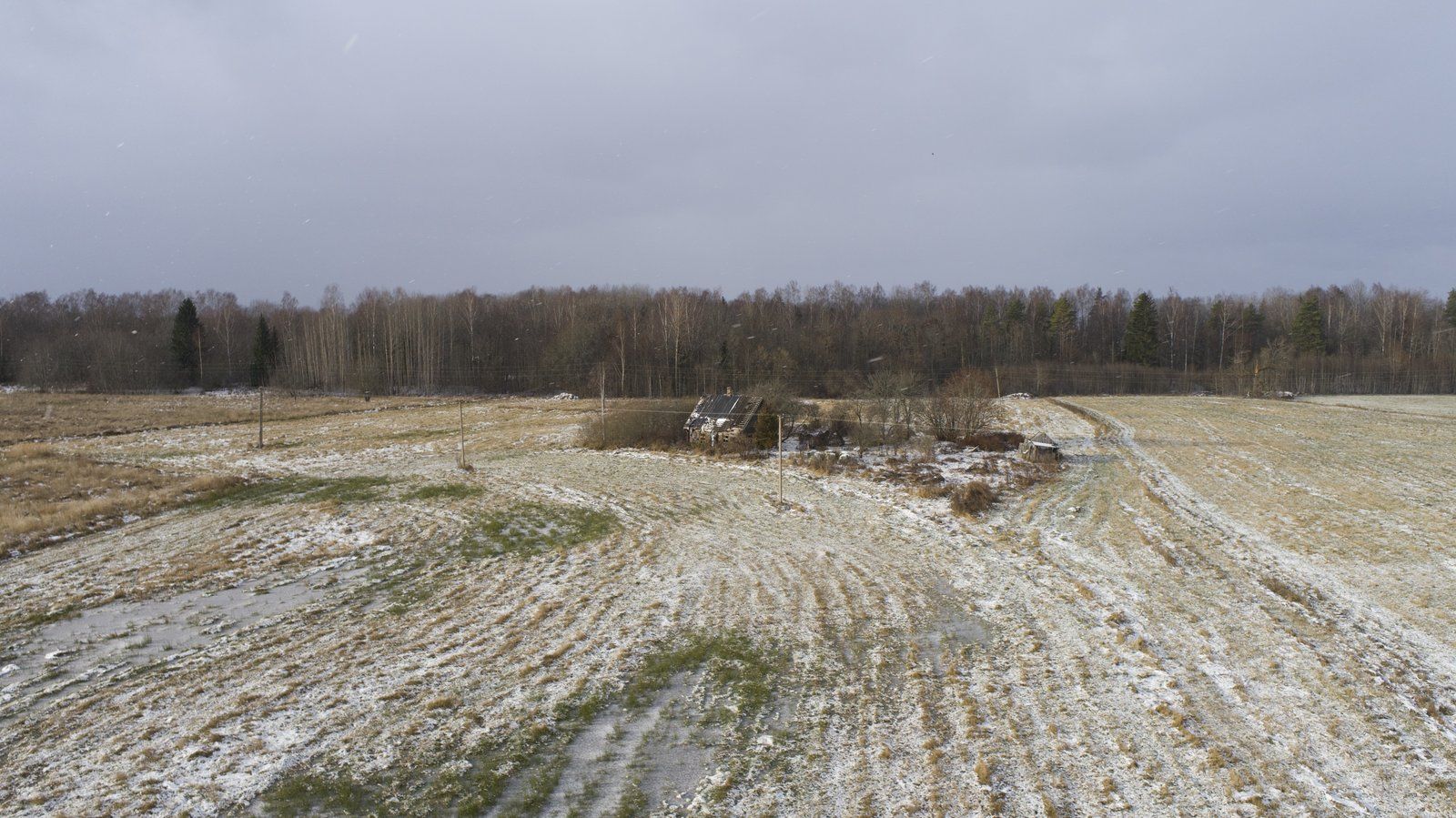 Zemes gabals 7,6 ha, Ošupes pagasts — attēls 3