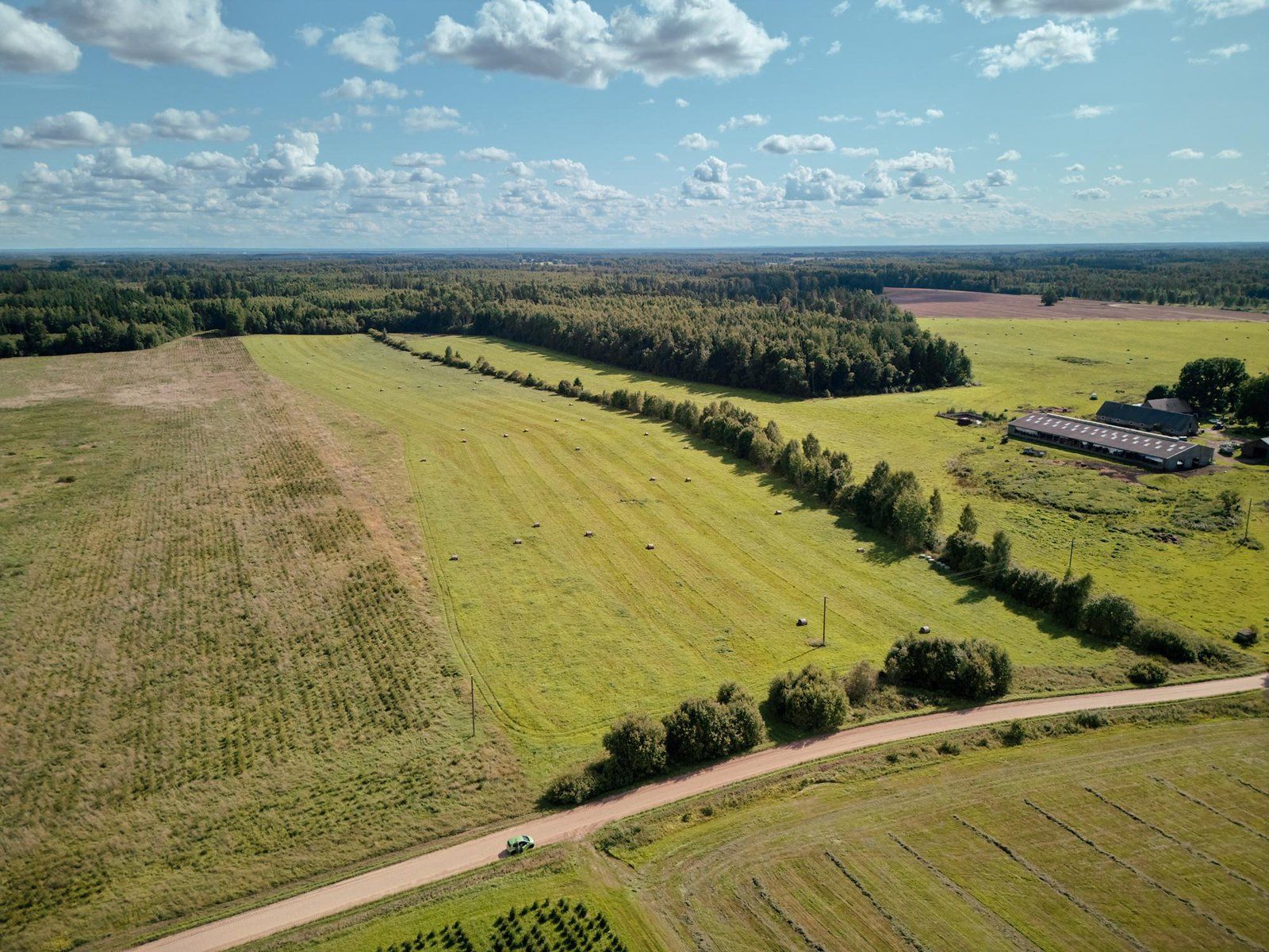 Zemes gabals 1000 ha, Burtnieku pagasts — attēls 3