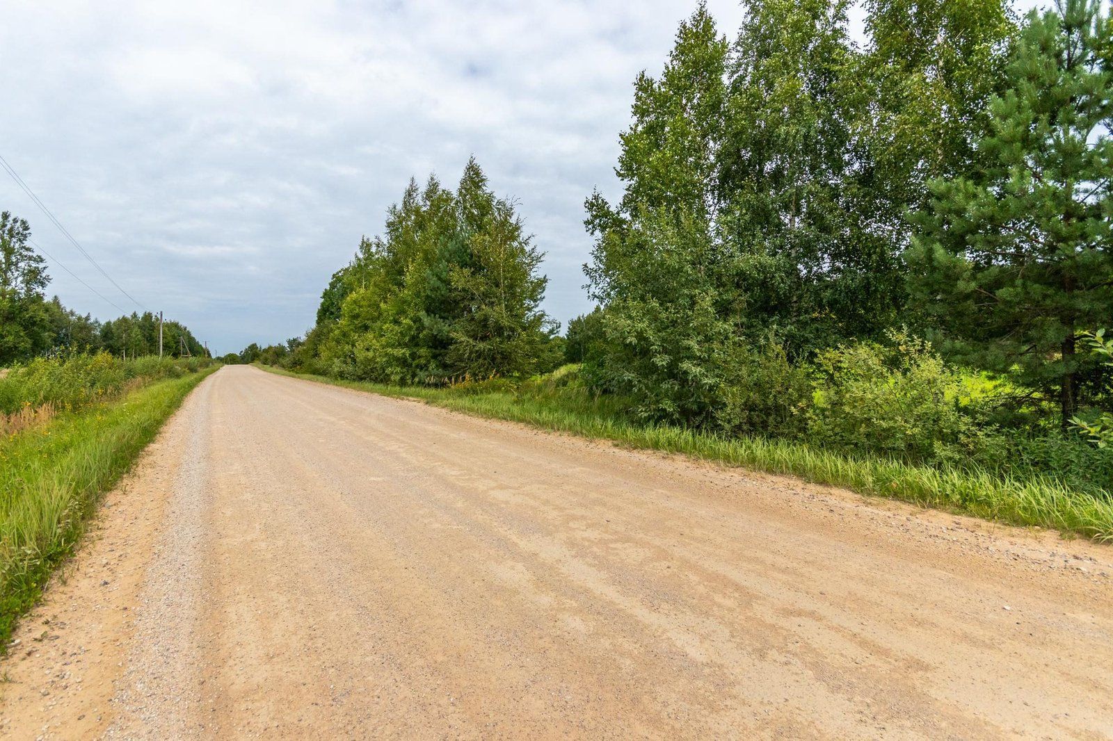 Zemes gabals 2,61 ha, Siguldas pagasts — attēls 4