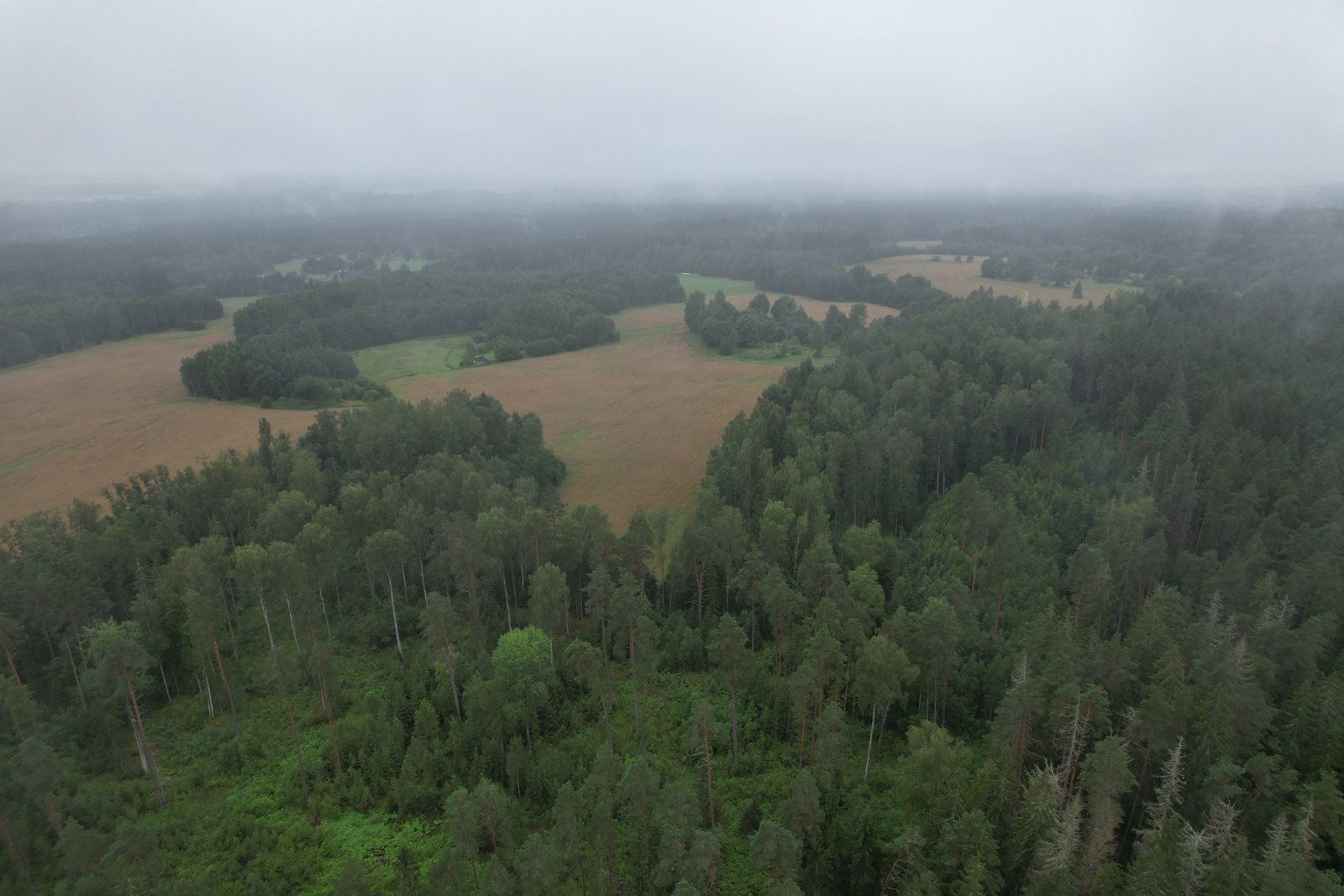 Zemes gabals 18,7 ha, Raiskuma pagasts — attēls 4