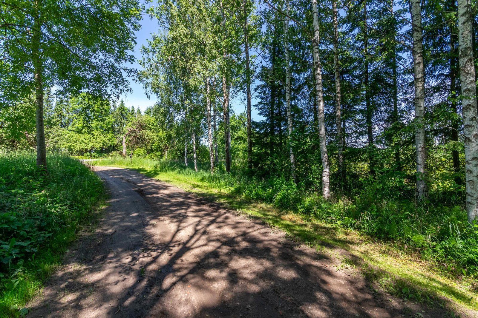Zemes gabals 11,2 ha, Siguldas pagasts — attēls 2