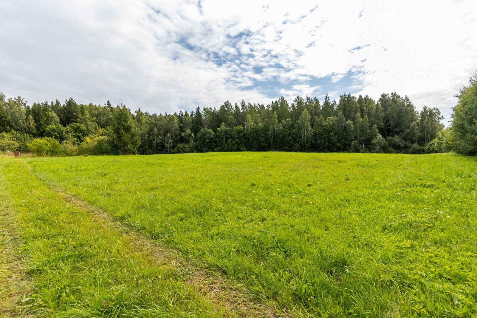 Zemes gabals 2,61 ha, Siguldas pagasts — attēls 5