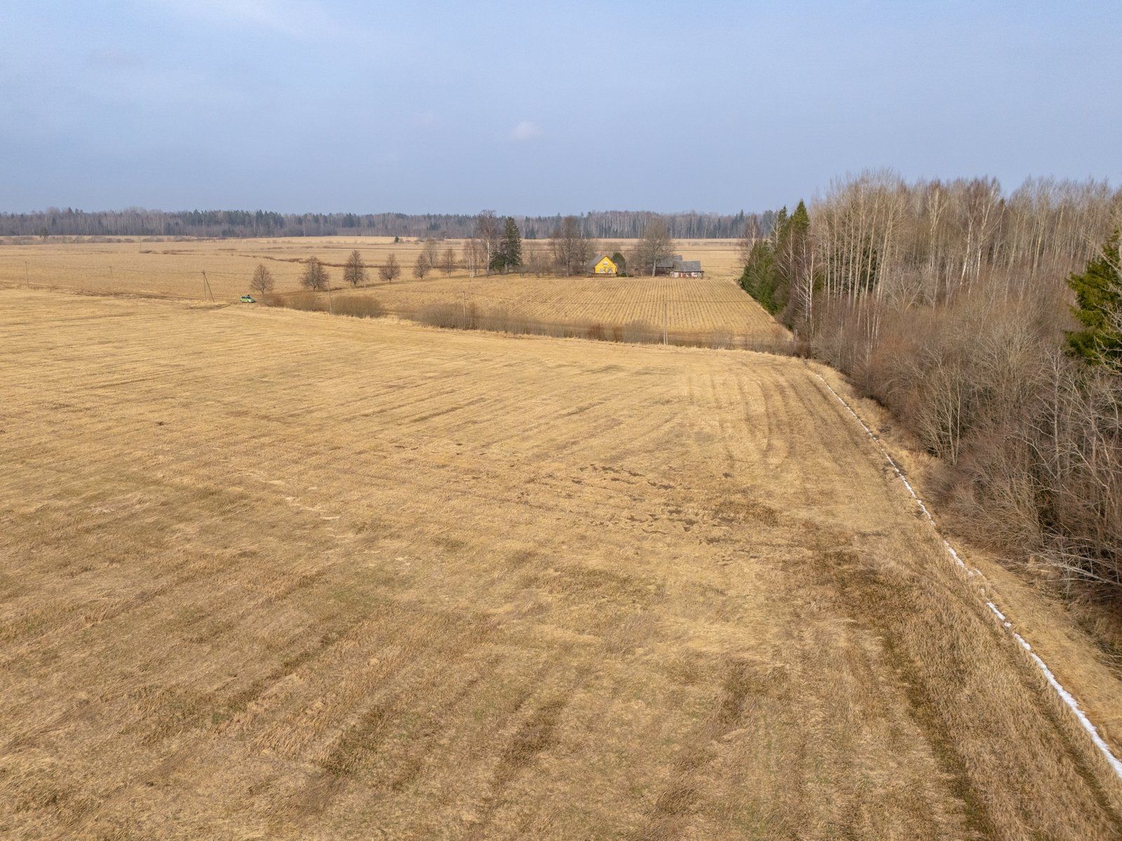 Zemes gabals 6 ha, Pāles pagasts — attēls 4
